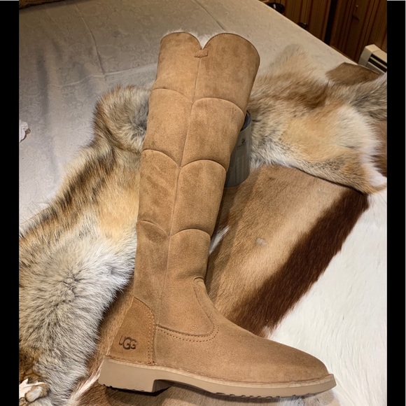 UGG Shoes - Hard to find Ugg🎁🎄Stunning Over the KneesNew  s6